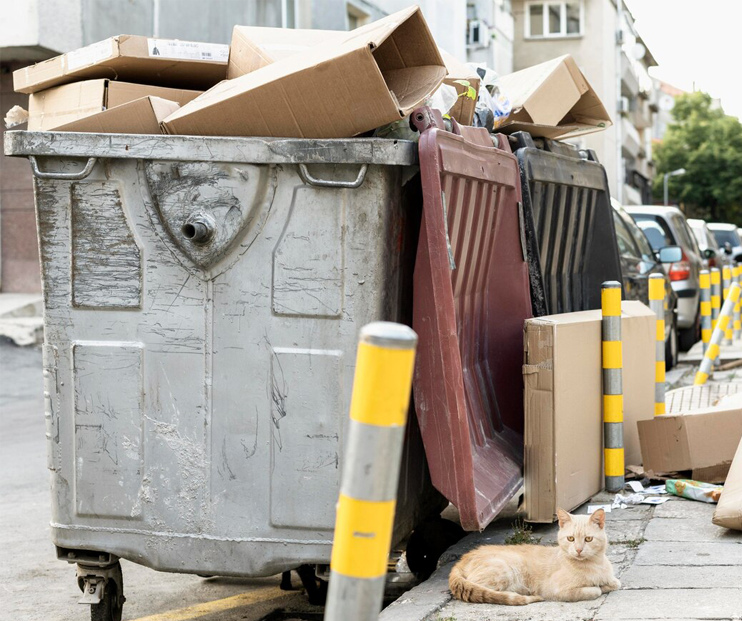 Waste management Hobe Sound team to collect huge dumpster